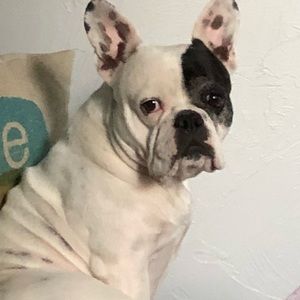 Meet your Posher, Vicky